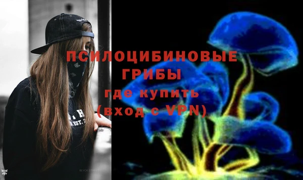 амф Арсеньев