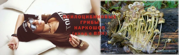 прущий лед Алексин