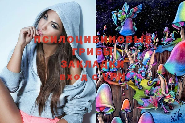 амф Арсеньев