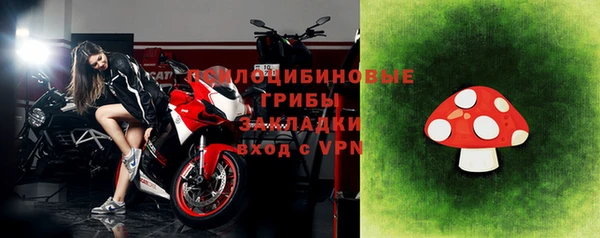 сатива Алзамай