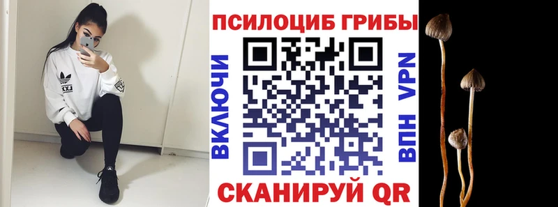 Псилоцибиновые грибы Cubensis  хочу наркоту  Краснотурьинск 